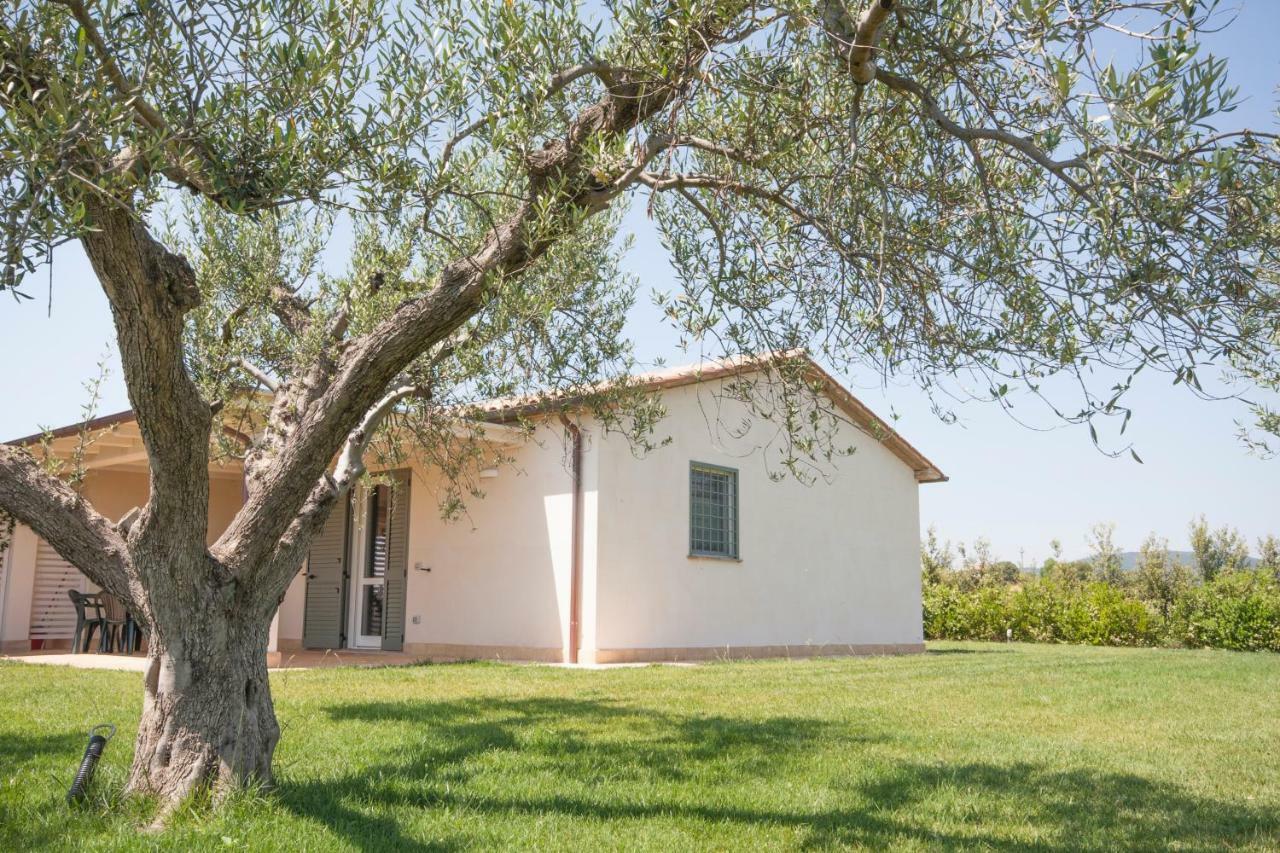 Agriturismo Il Mirto Pescia Romana Eksteriør billede