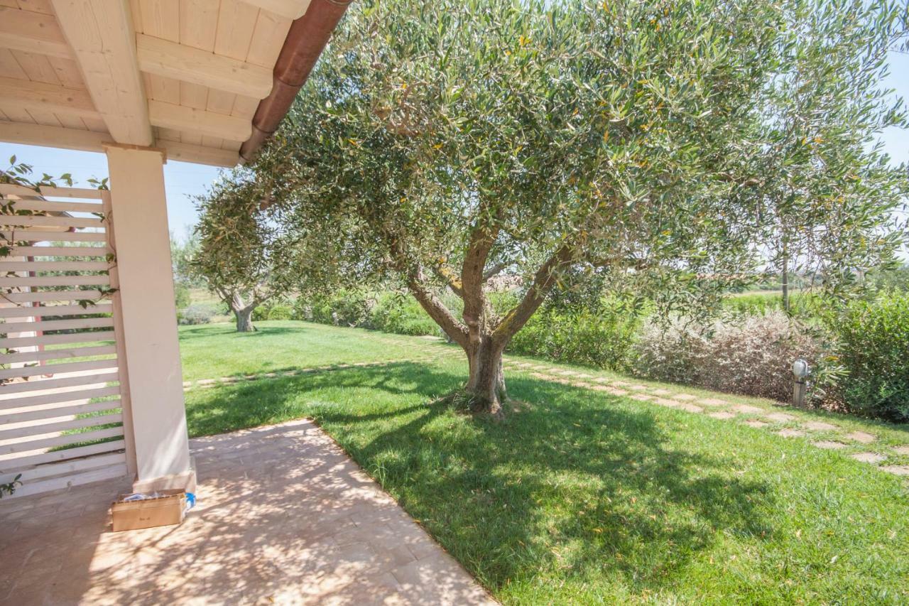 Agriturismo Il Mirto Pescia Romana Værelse billede